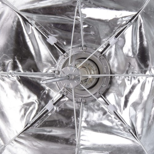 product_7831_image_56614.jpg