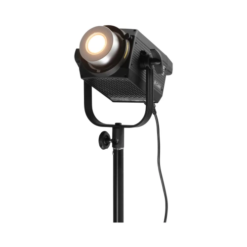 product_8201_image_59721.jpg