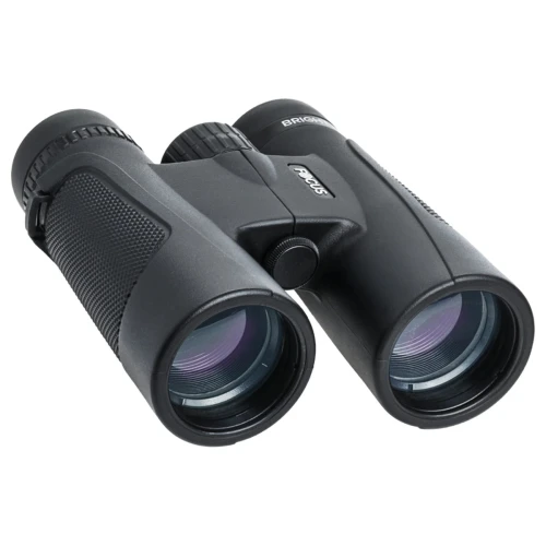 focus-bright-8x42-rbl24-04-g6g3.jpg