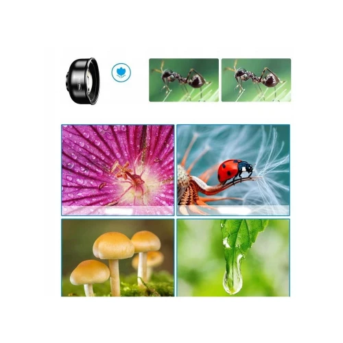 product_8797_image_65759.jpg