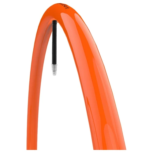 product_10851_image_113894.jpg