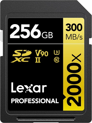 81MvVV0XzTL._AC_SL1500_.jpg