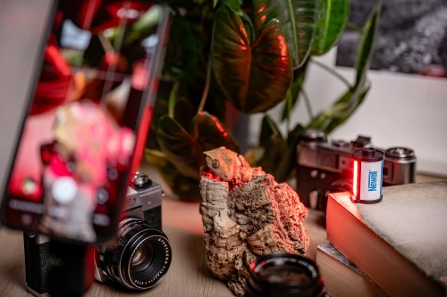 Mini Lampka LED RGB Newell MiniReels do aparatu vloga