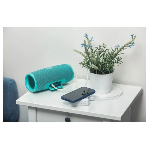 product_11016_image_119137.jpg