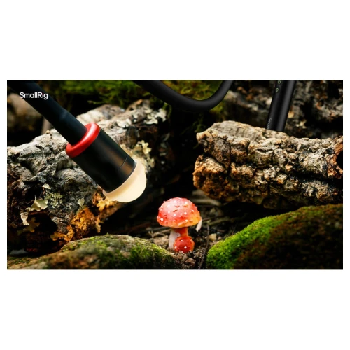 product_10478_image_101632.jpg