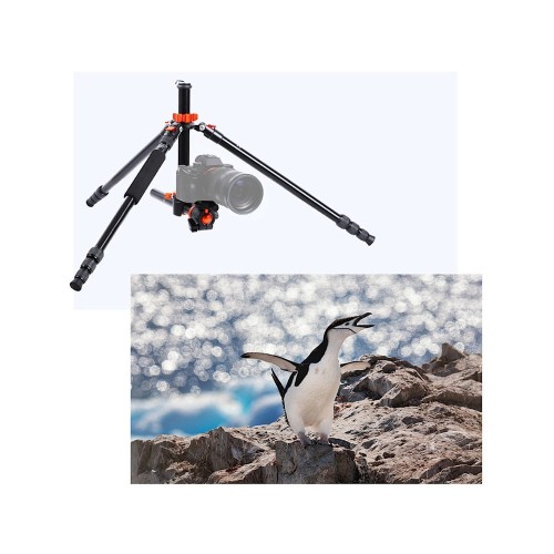 Statyw fotograficzny 190cm K&F Concept SA254T2 z łamaną kolumną, głowicą kulową i funkcją monopodu