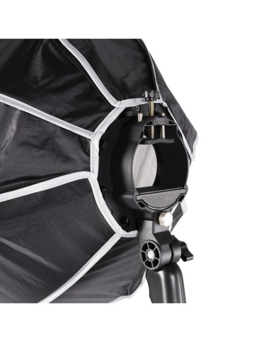 product_8301_image_77026.jpg