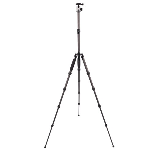 product_6173_image_40874.jpg