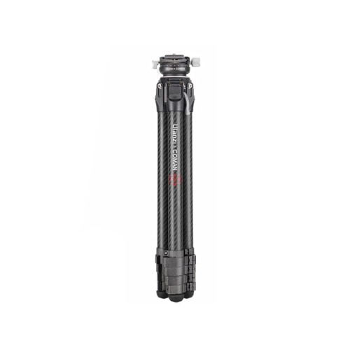 product_8338_image_61134.jpg