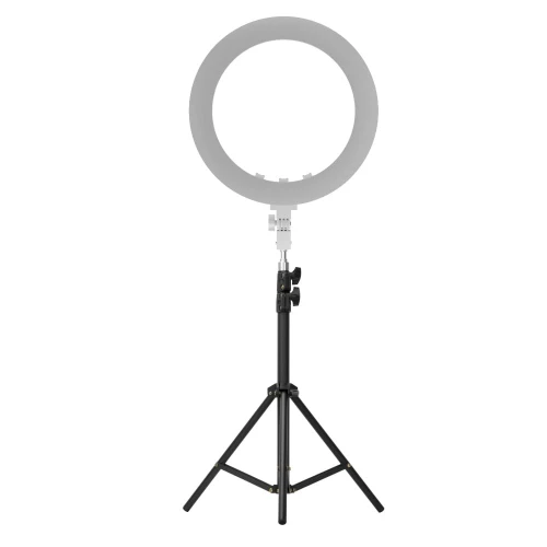 product_8595_image_63568.jpg