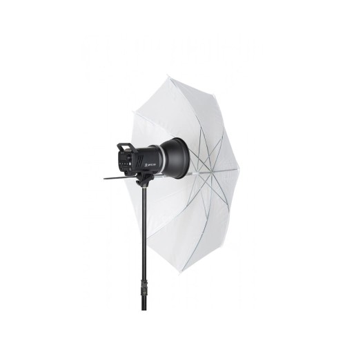 product_8765_image_65398.jpg